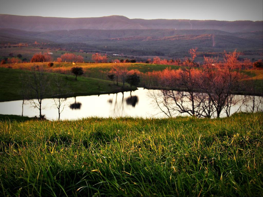 سان مارتن دي تريفيخو Casa Rural El Cabezo المظهر الخارجي الصورة