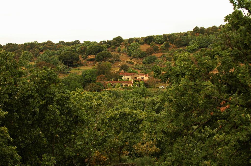 سان مارتن دي تريفيخو Casa Rural El Cabezo المظهر الخارجي الصورة