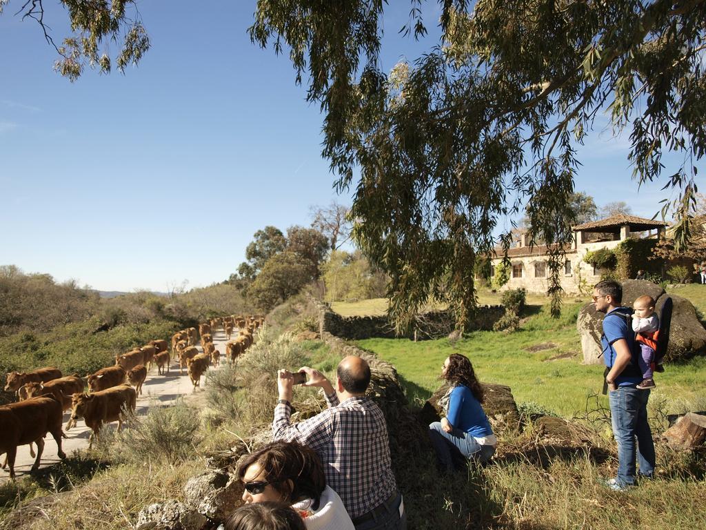 سان مارتن دي تريفيخو Casa Rural El Cabezo المظهر الخارجي الصورة